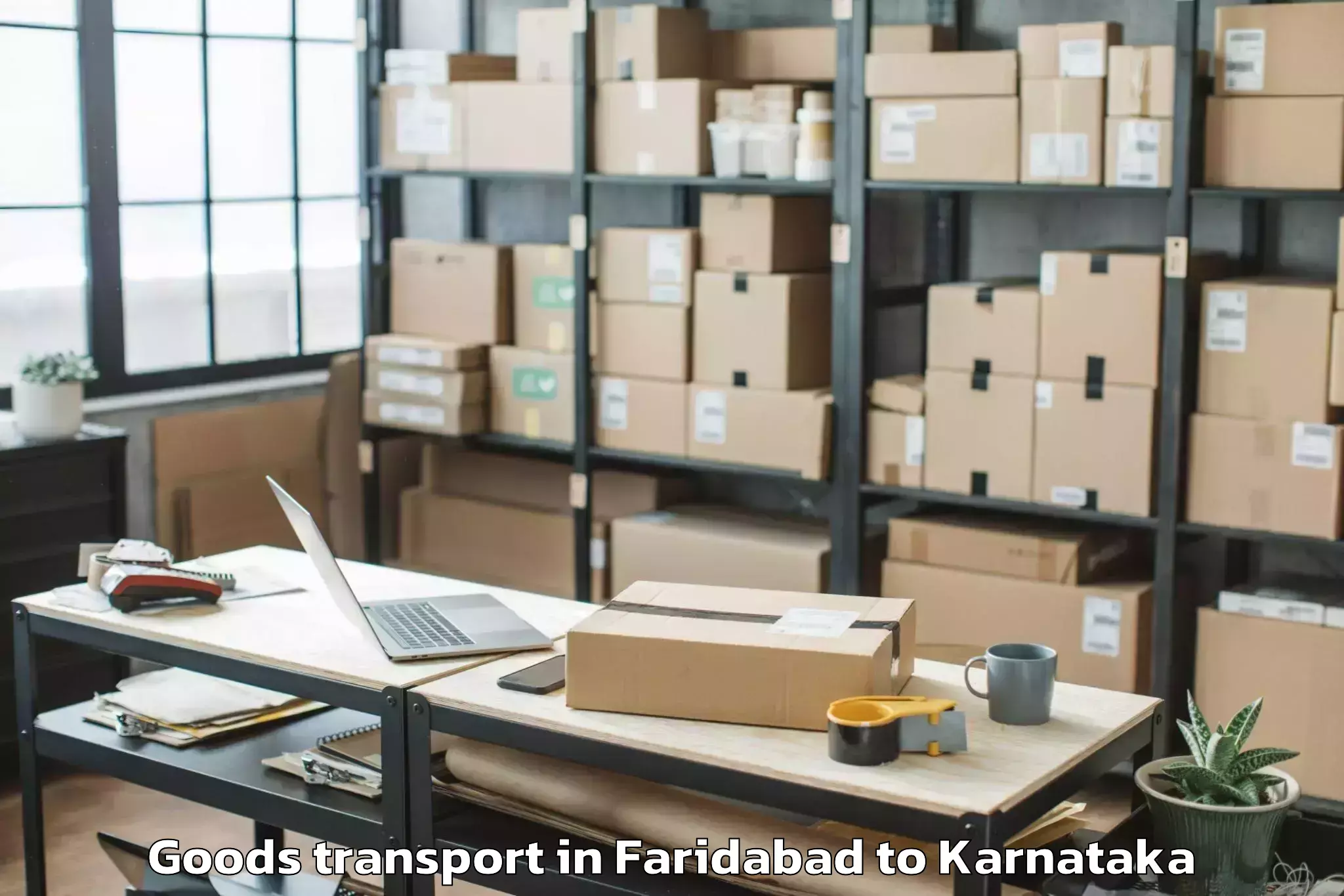 Professional Faridabad to Kunigal Goods Transport